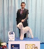  - world dog show 2011